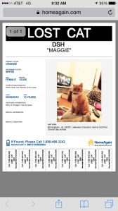 Maggie's Wanted Poster